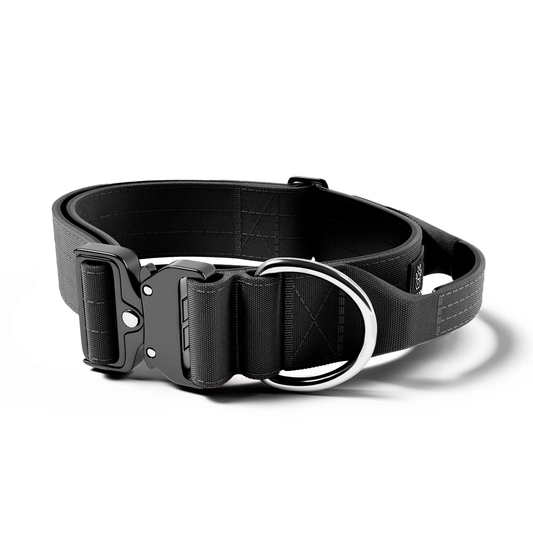 Tactical Dog Collar – Regal K9s