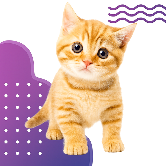 The Secret Life of Domestic Cats: Why These Mysterious Companions Rule Our Homes