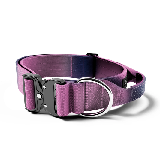 Tactical Dog Collar – Regal K9s