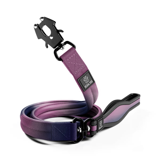 Tactical Dog Leash - Regal K9s